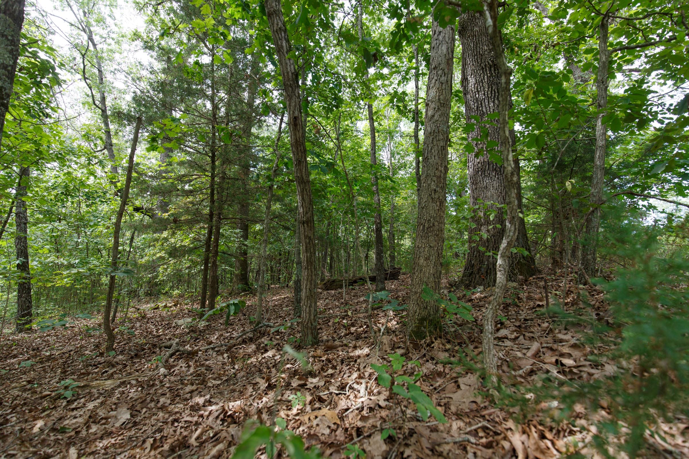 Spring Lake Plat 5 Tract 344 photo 3