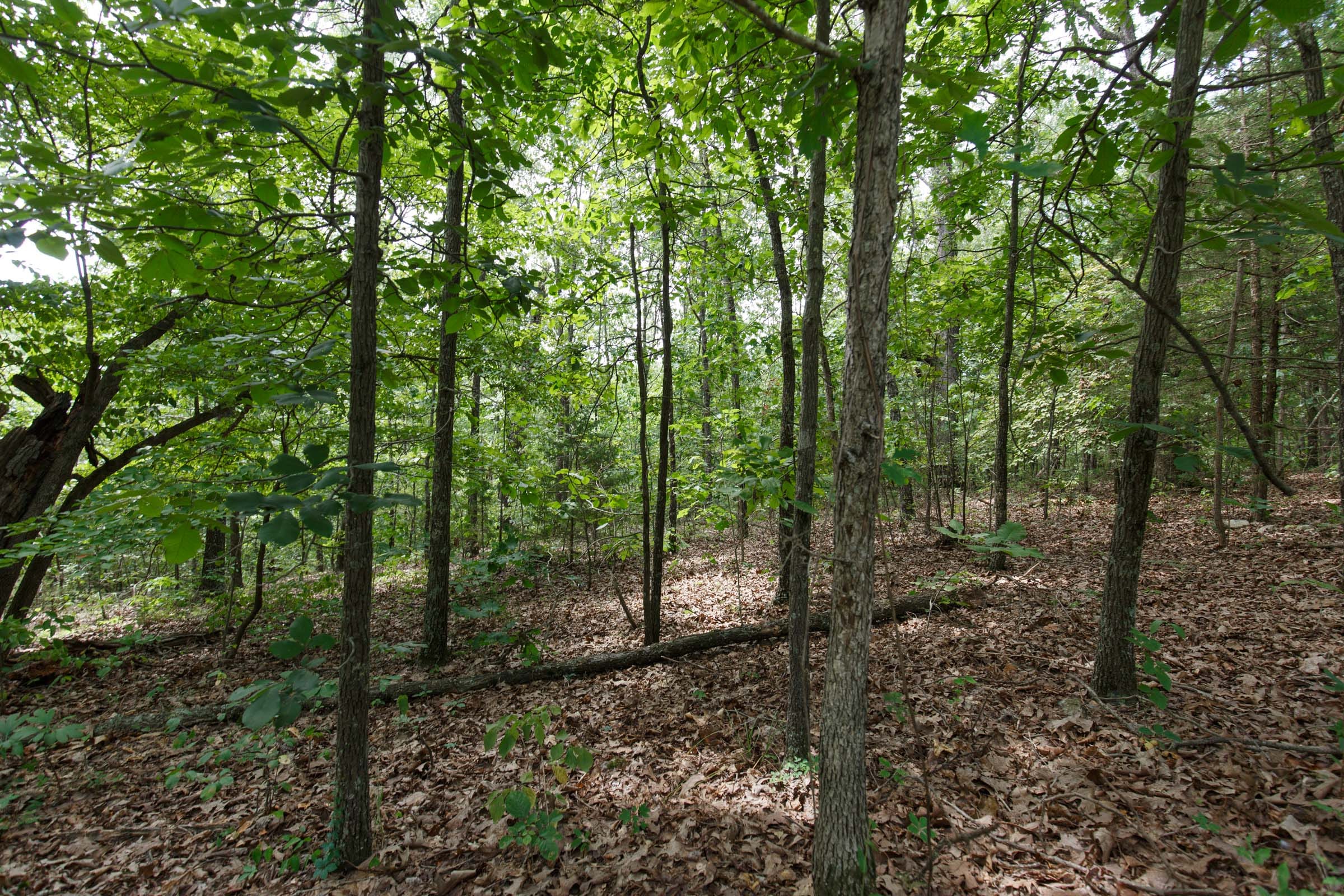 Spring Lake Plat 5 Tract 344 photo 5