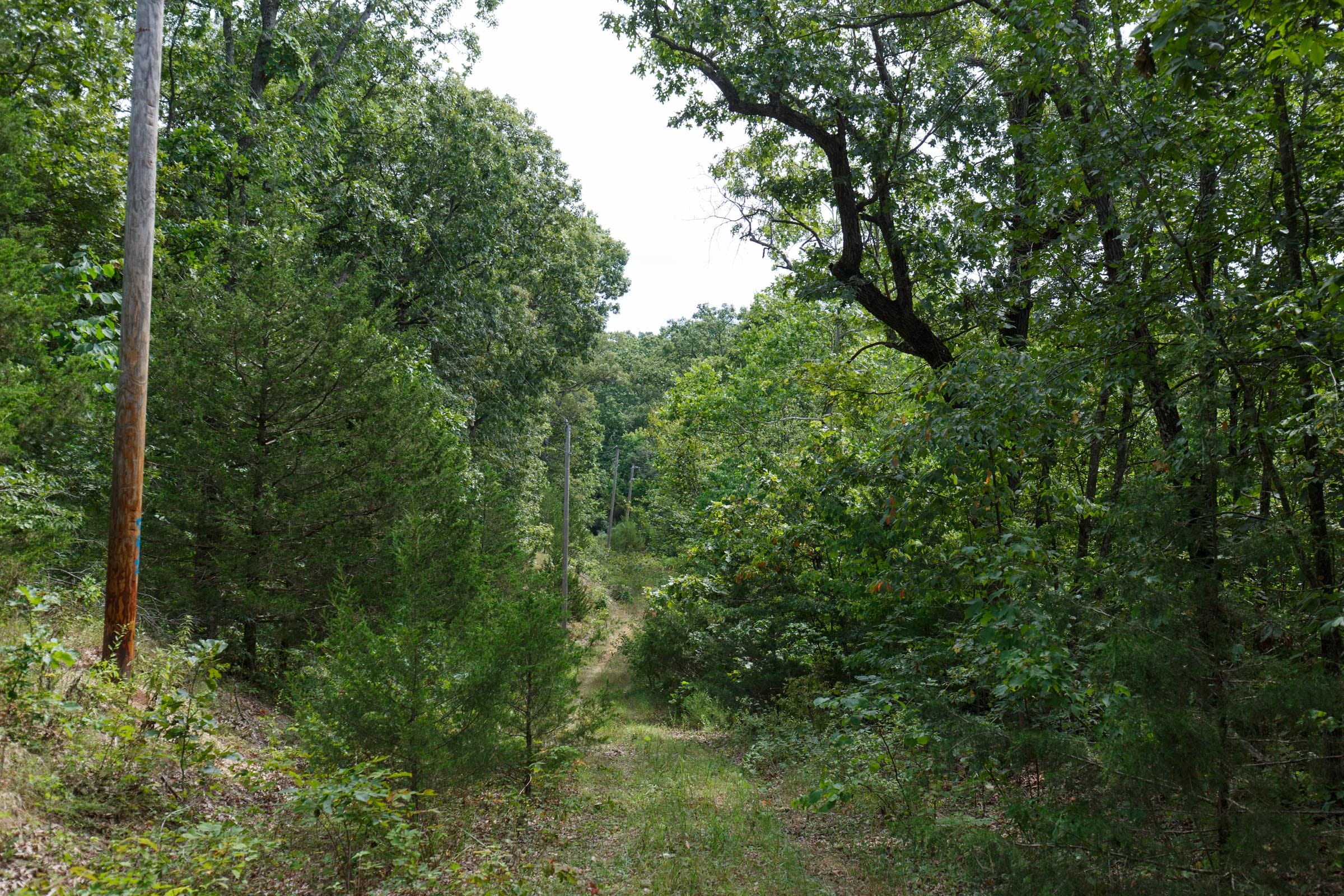 Spring Lake Plat 5 Tract 344 photo 7