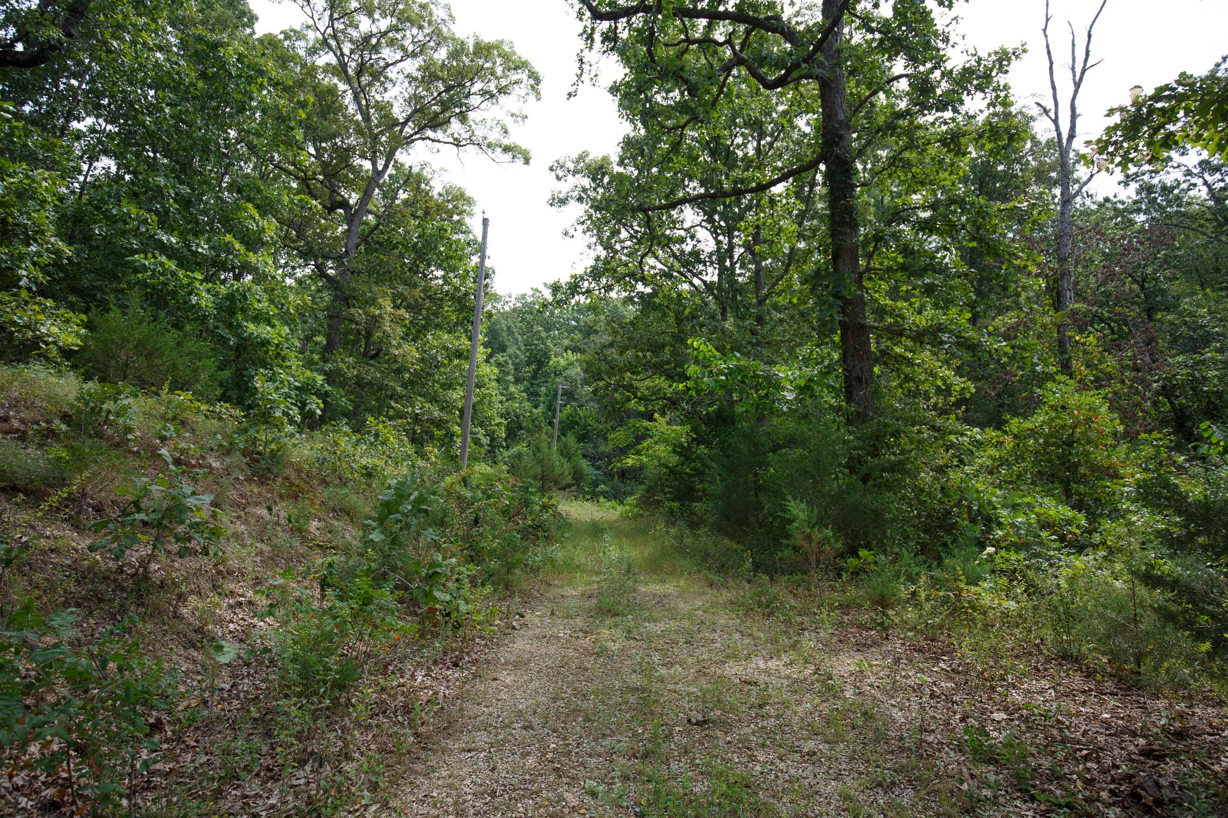 Spring Lake Plat 5 Tract 344 photo 8