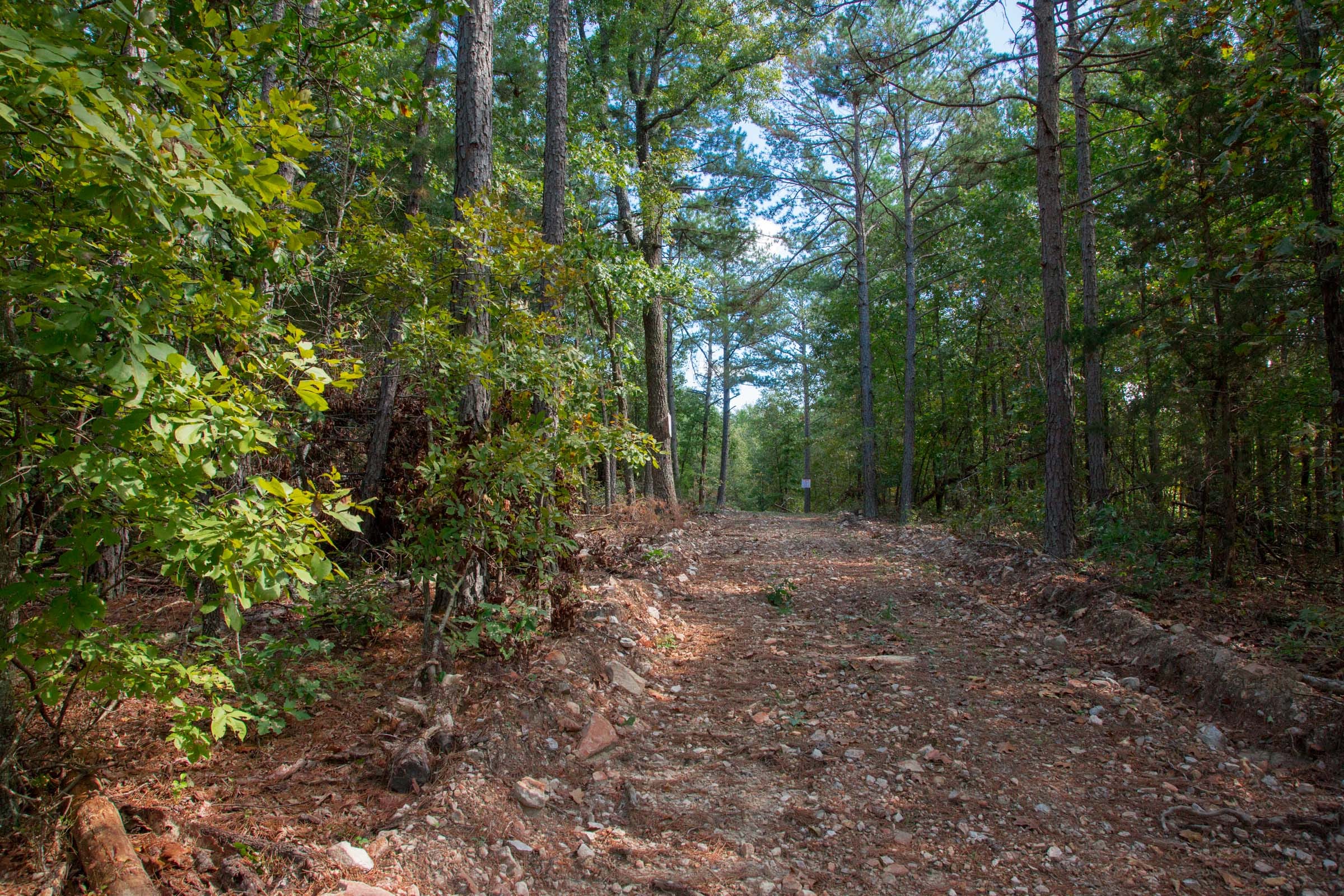 Wagon Wheel Ranch Tract 40 photo 2