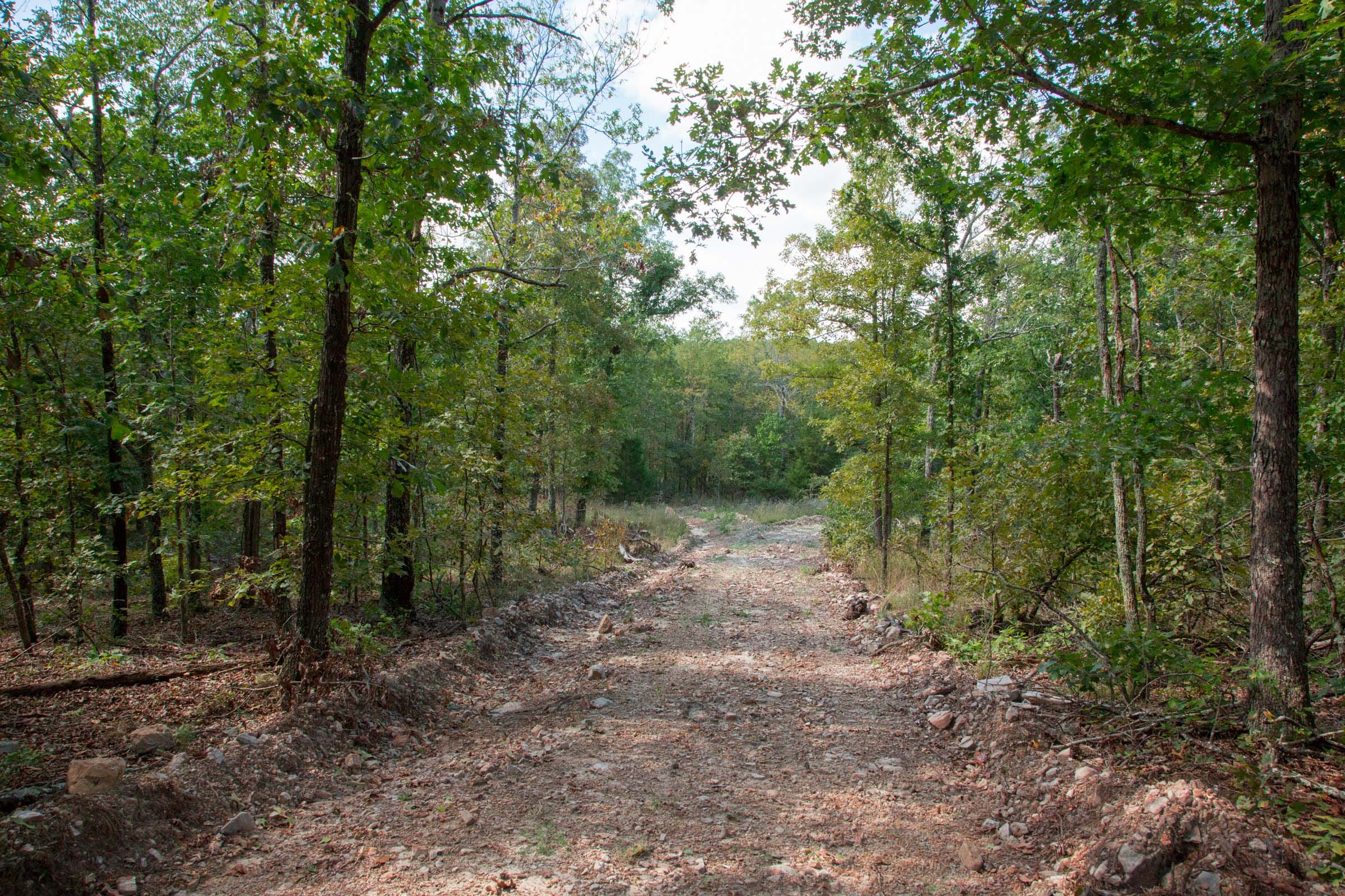 Wagon Wheel Ranch Tract 40 photo 6