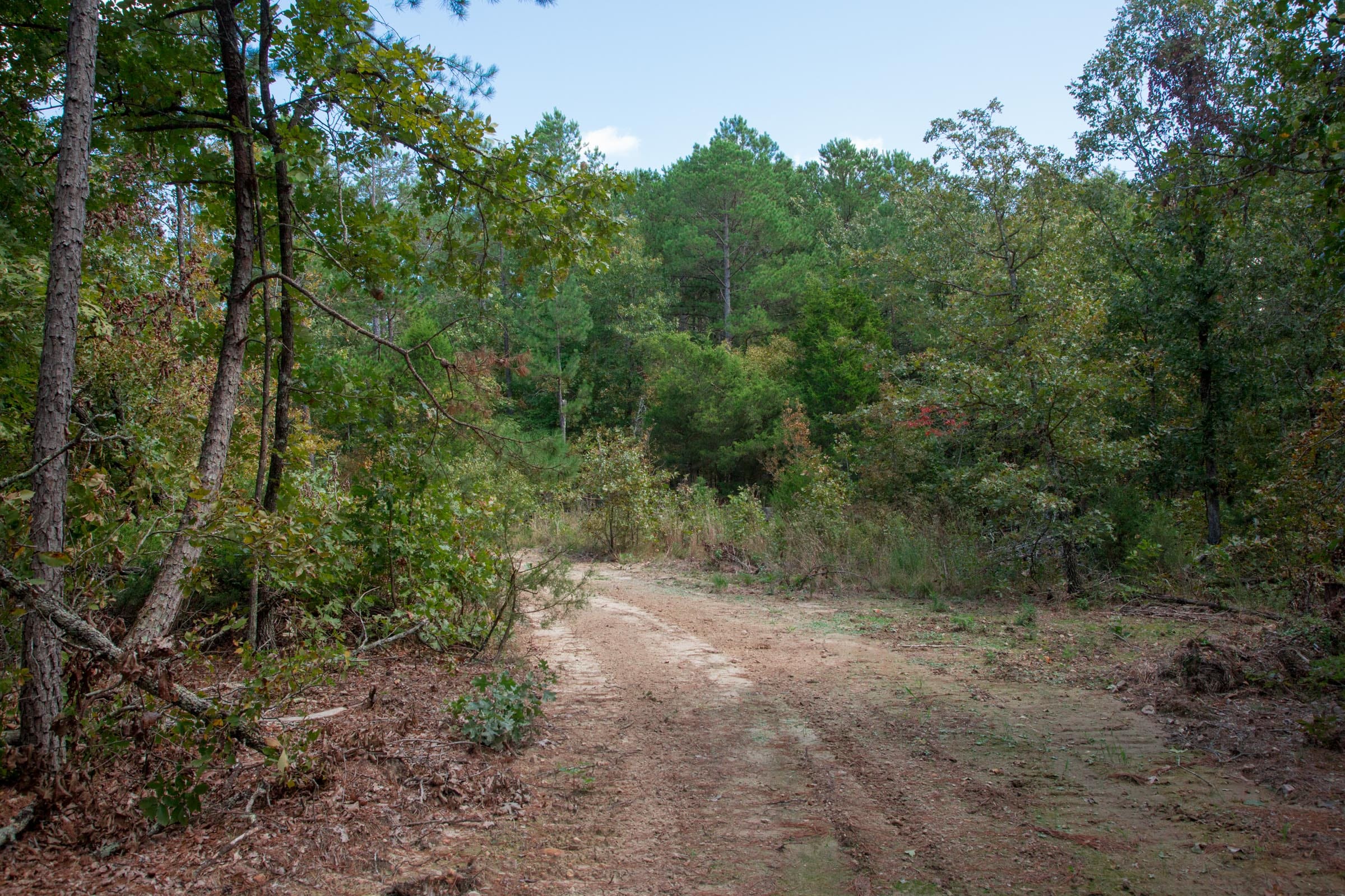 Wagon Wheel Ranch Tract 40 photo 10