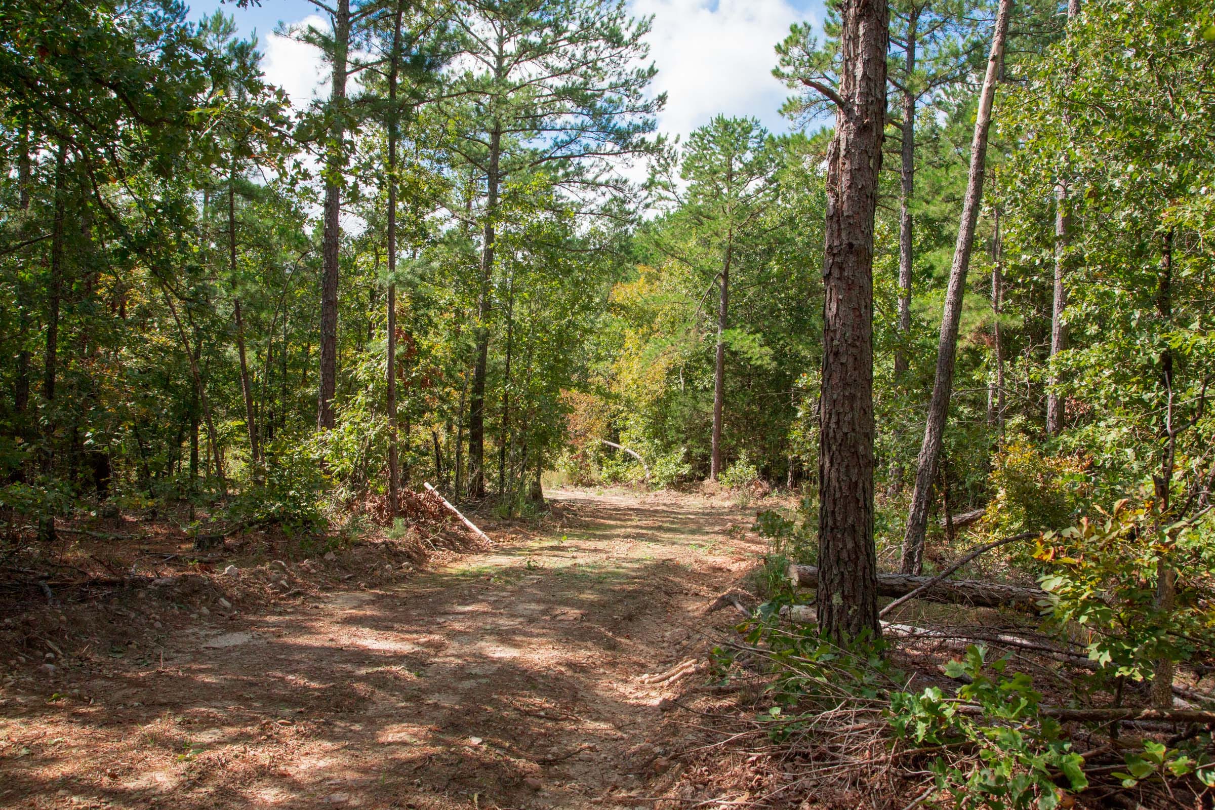 Wagon Wheel Ranch Tract 40 photo 1