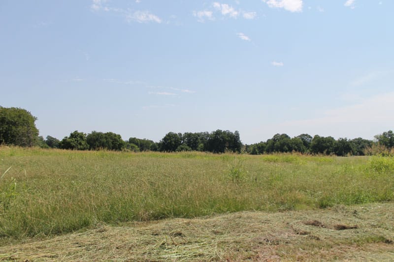 McCoy Creek Ranch Tract 3 photo 2