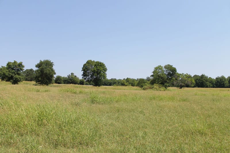 McCoy Creek Ranch Tract 3 photo 4