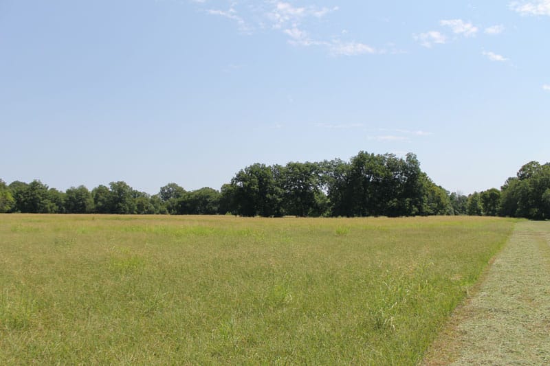 McCoy Creek Ranch Tract 3 photo 5