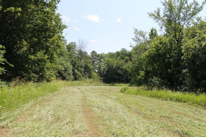 McCoy Creek Ranch Tract 3 photo 7