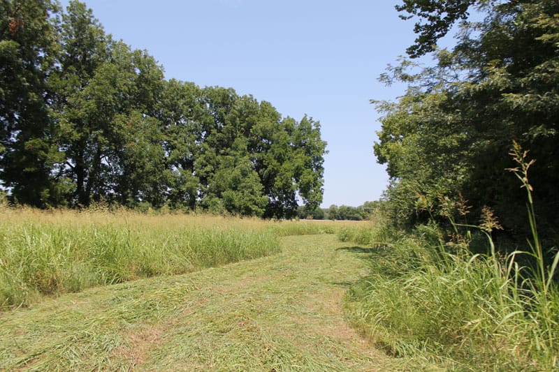 McCoy Creek Ranch Tract 3 photo 8