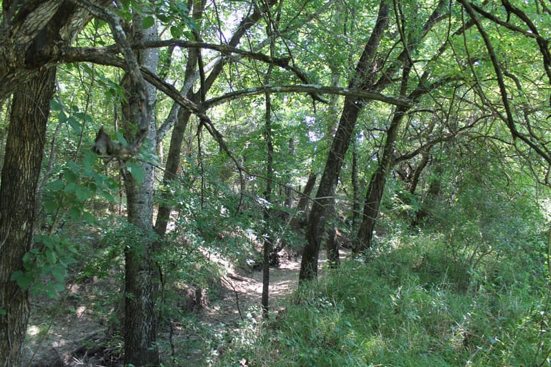 McCoy Creek Ranch Tract 3 photo 10