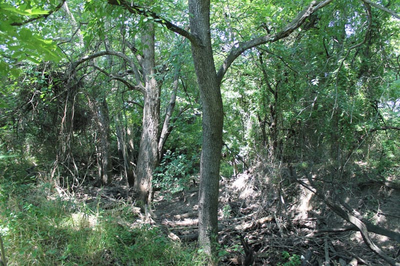 McCoy Creek Ranch Tract 3 photo 11