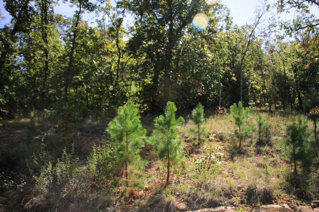 Lakeview Private Reserve Tract 16 photo 4