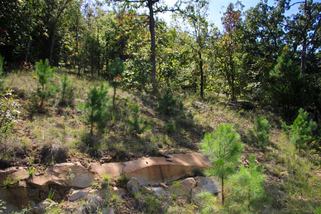 Lakeview Private Reserve Tract 16 photo 3