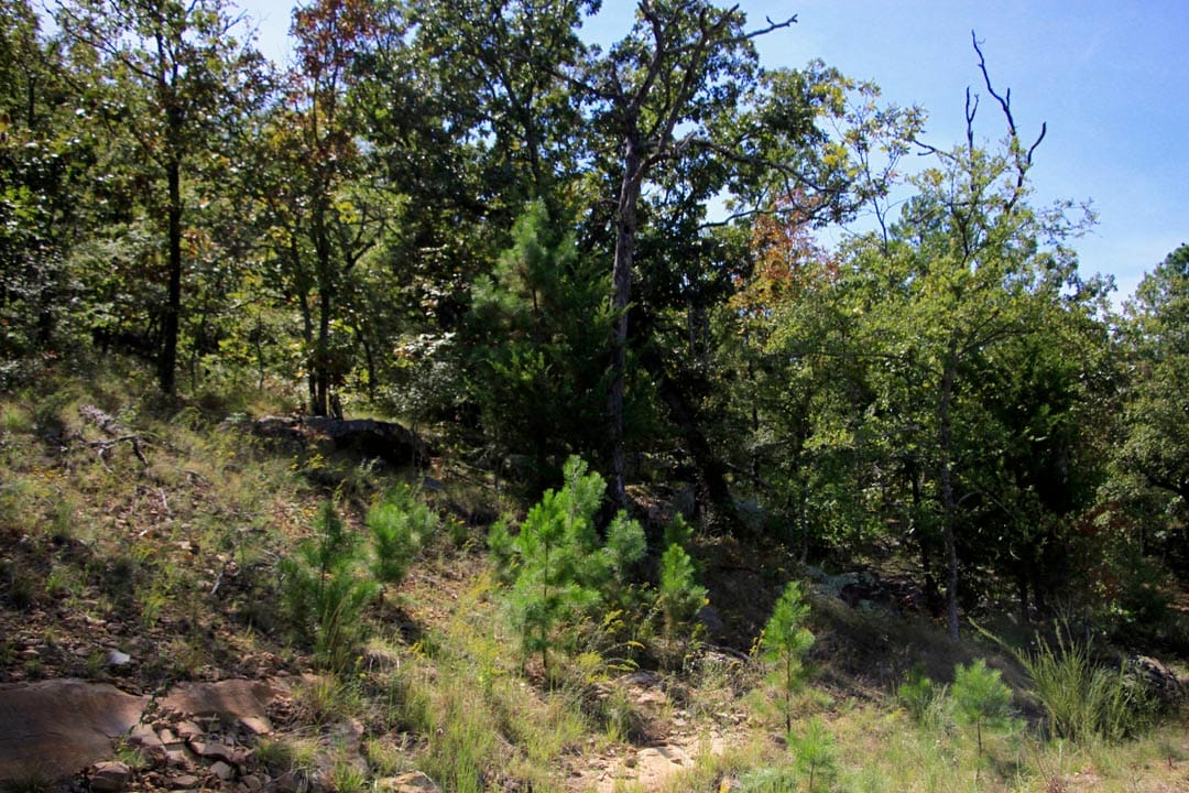 Lakeview Private Reserve Tract 16 photo 5