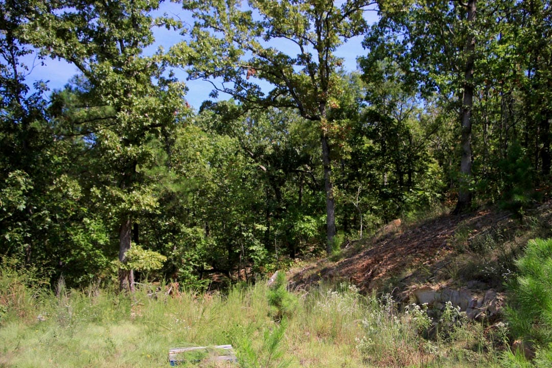 Lakeview Private Reserve Tract 16 photo 6