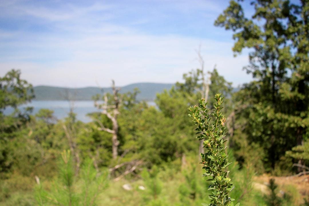 Lakeview Private Reserve Tract 16 photo 11