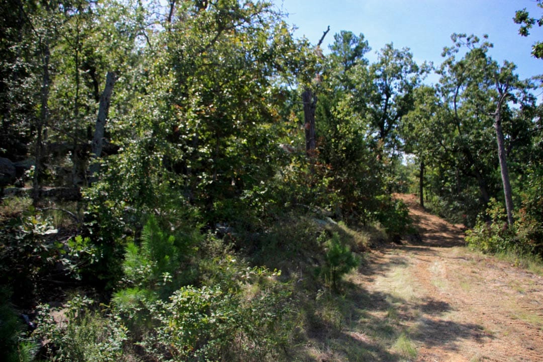 Lakeview Private Reserve Tract 16 photo 12