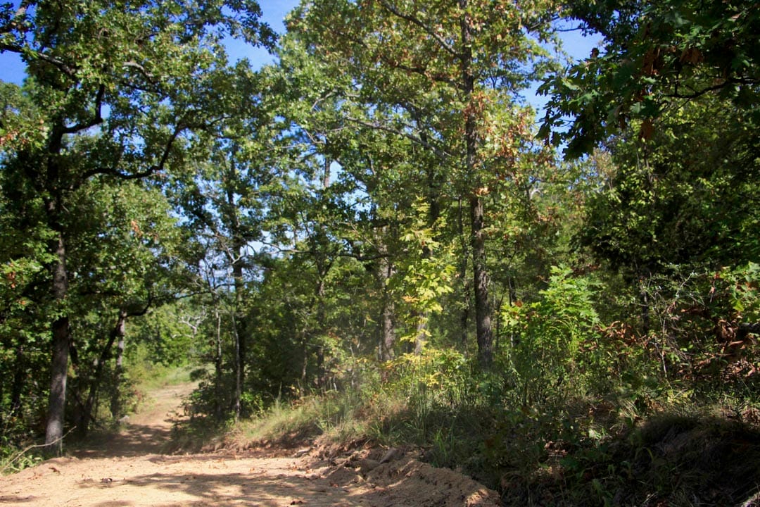 Lakeview Private Reserve Tract 16 photo 2
