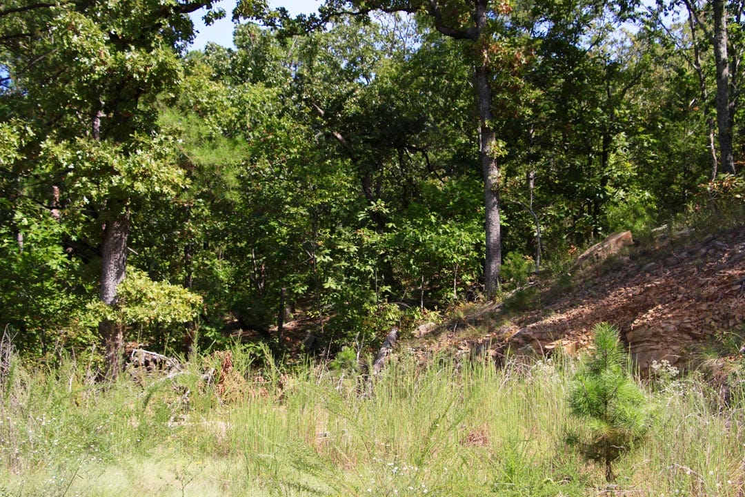 Lakeview Private Reserve Tract 16 photo 14