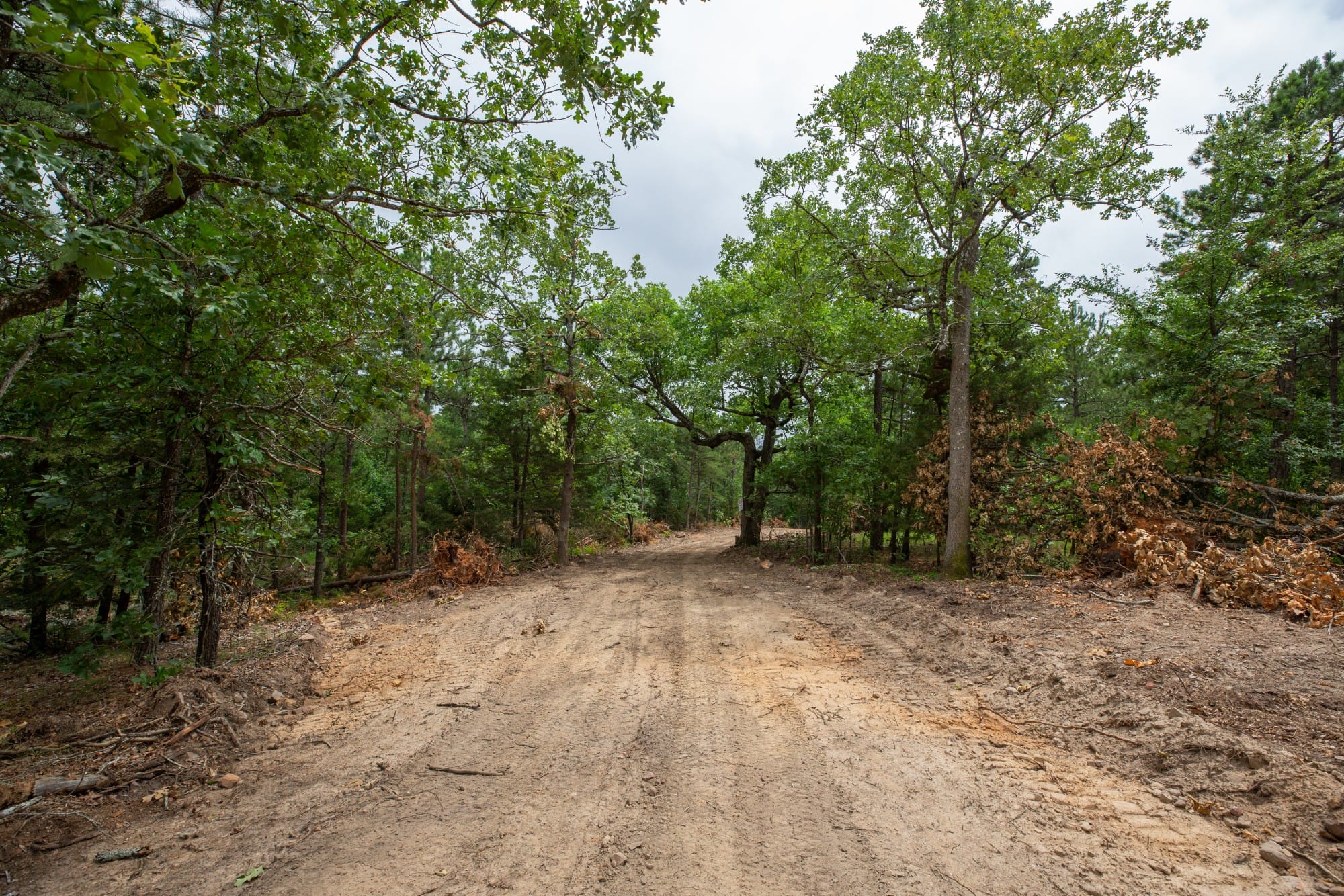 Eagle’s Nest Tract 55 photo 2