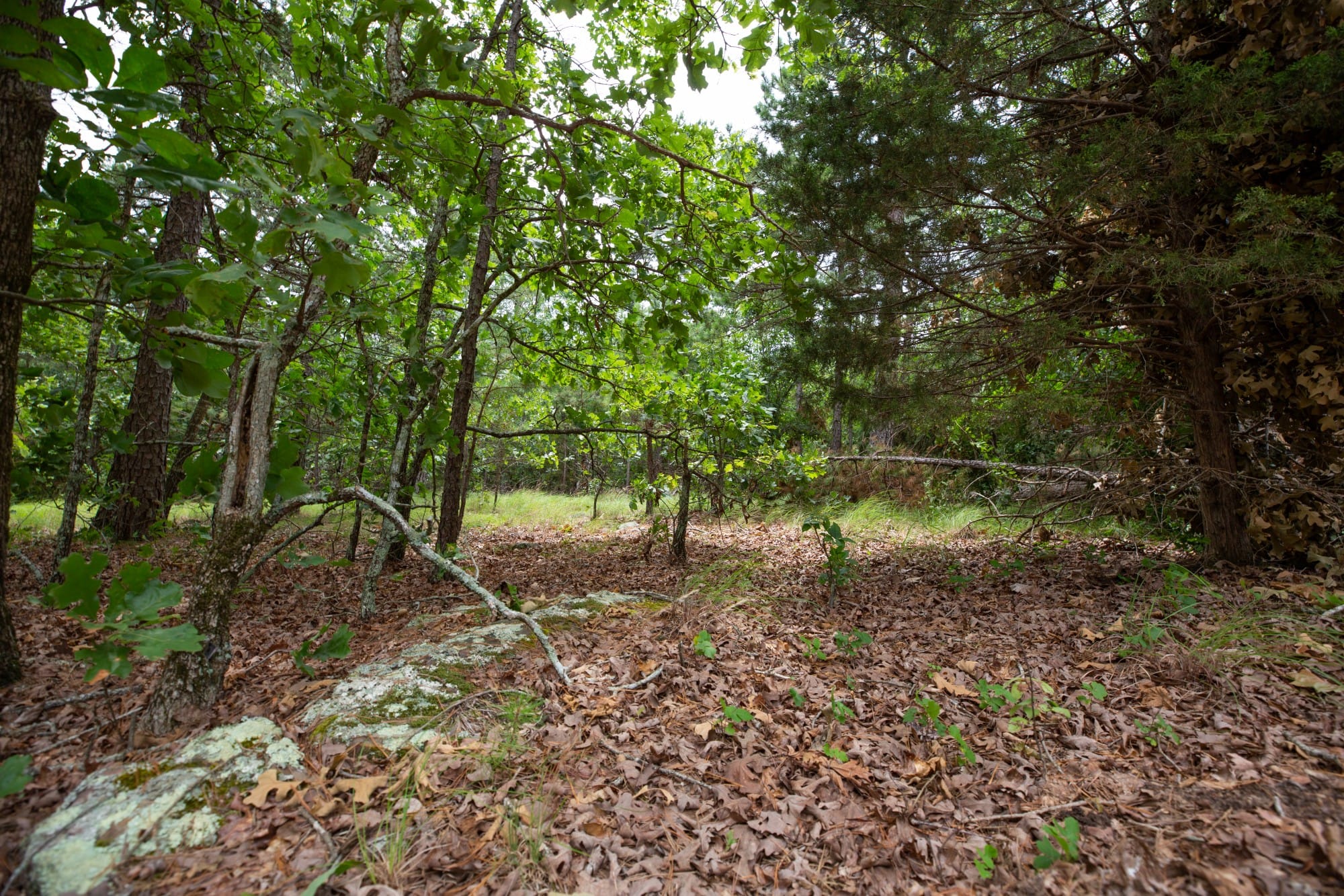 Eagle’s Nest Tract 55 photo 4