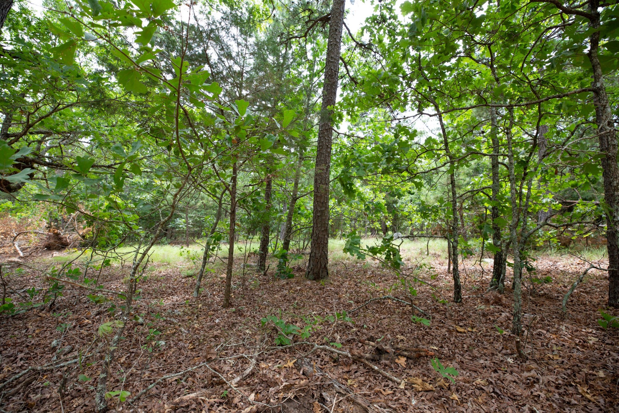 Eagle’s Nest Tract 55 photo 5