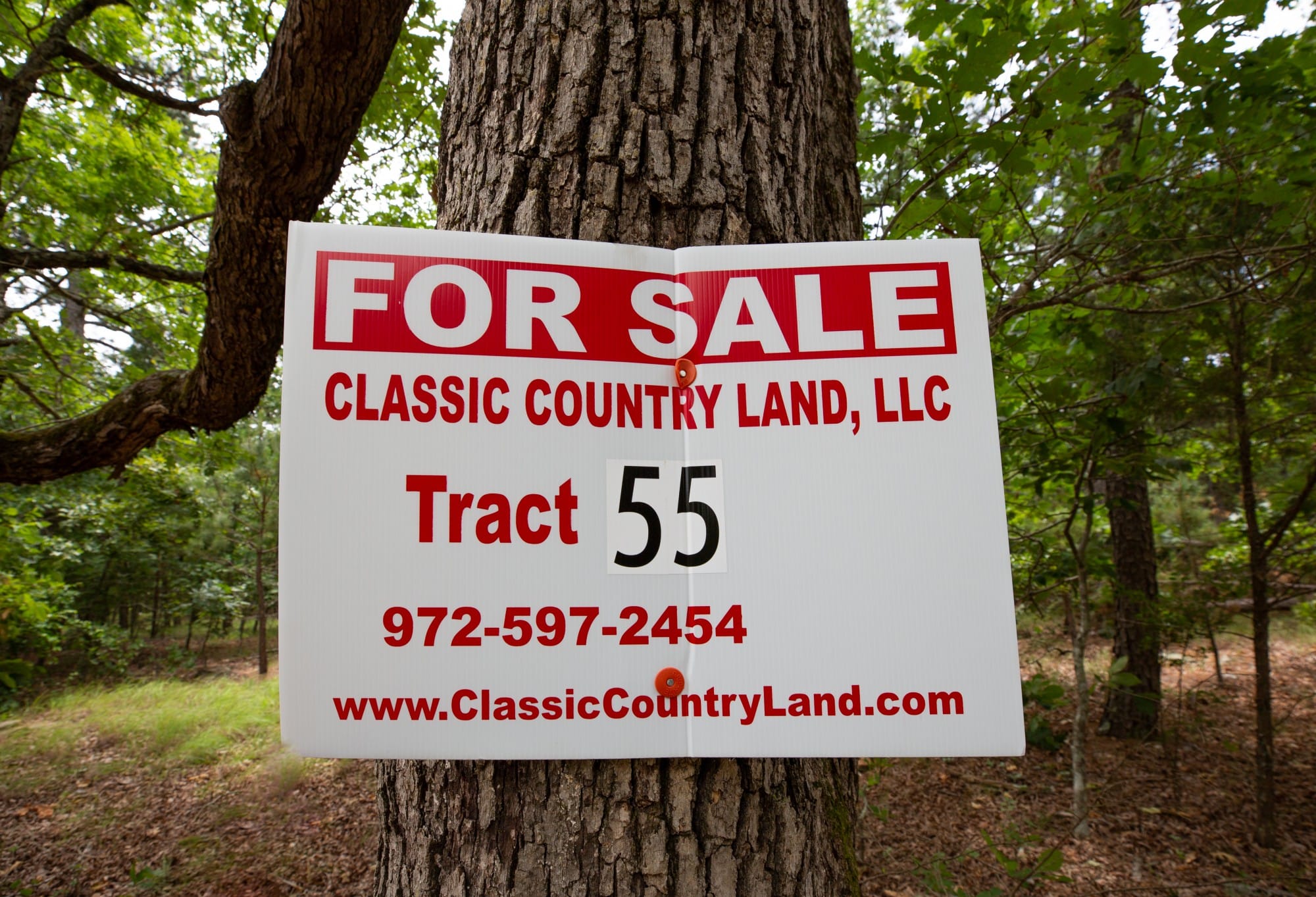 Eagle’s Nest Tract 55 photo 1