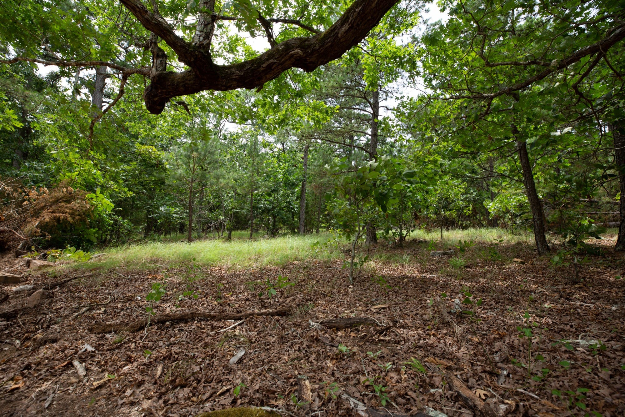Eagle’s Nest Tract 55 photo 6