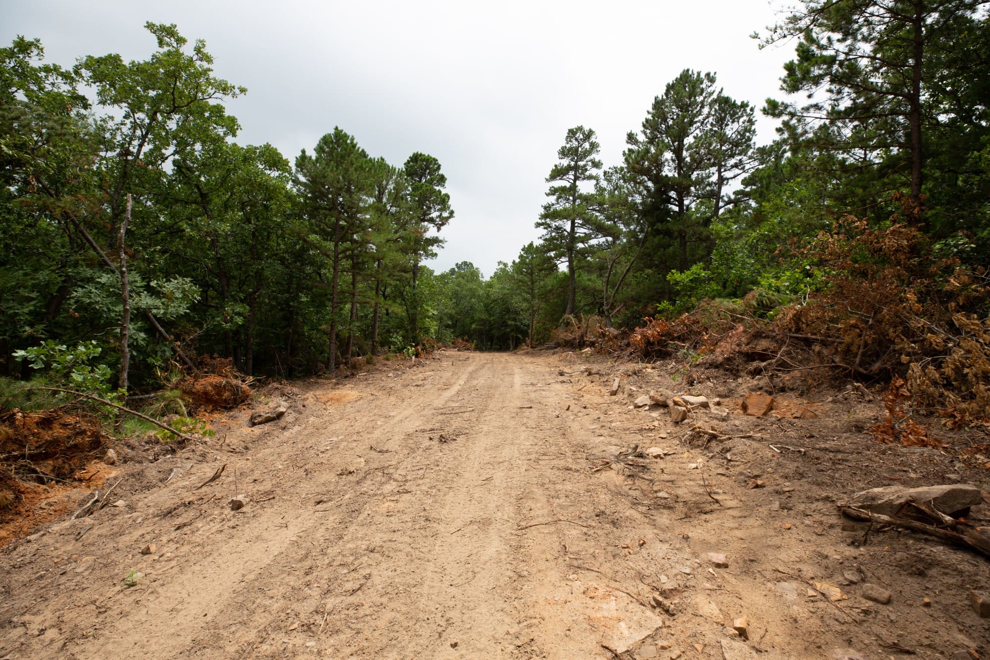 Eagle’s Nest Tract 55 photo 7