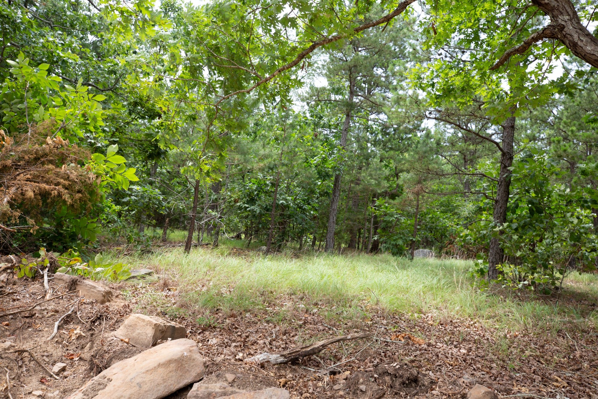 Eagle’s Nest Tract 55 photo 8