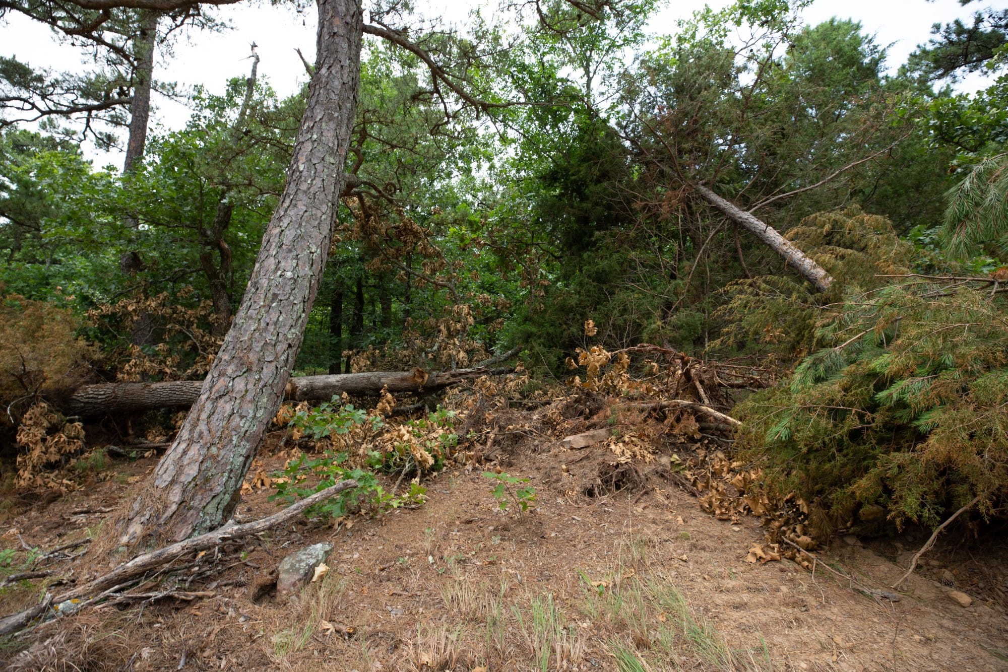 Eagle’s Nest Tract 55 photo 9