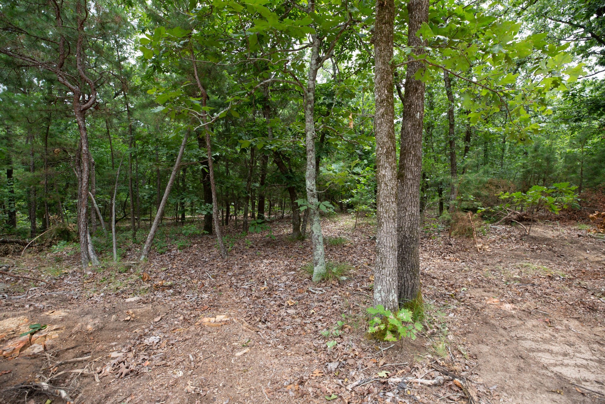Eagle’s Nest Tract 55 photo 10
