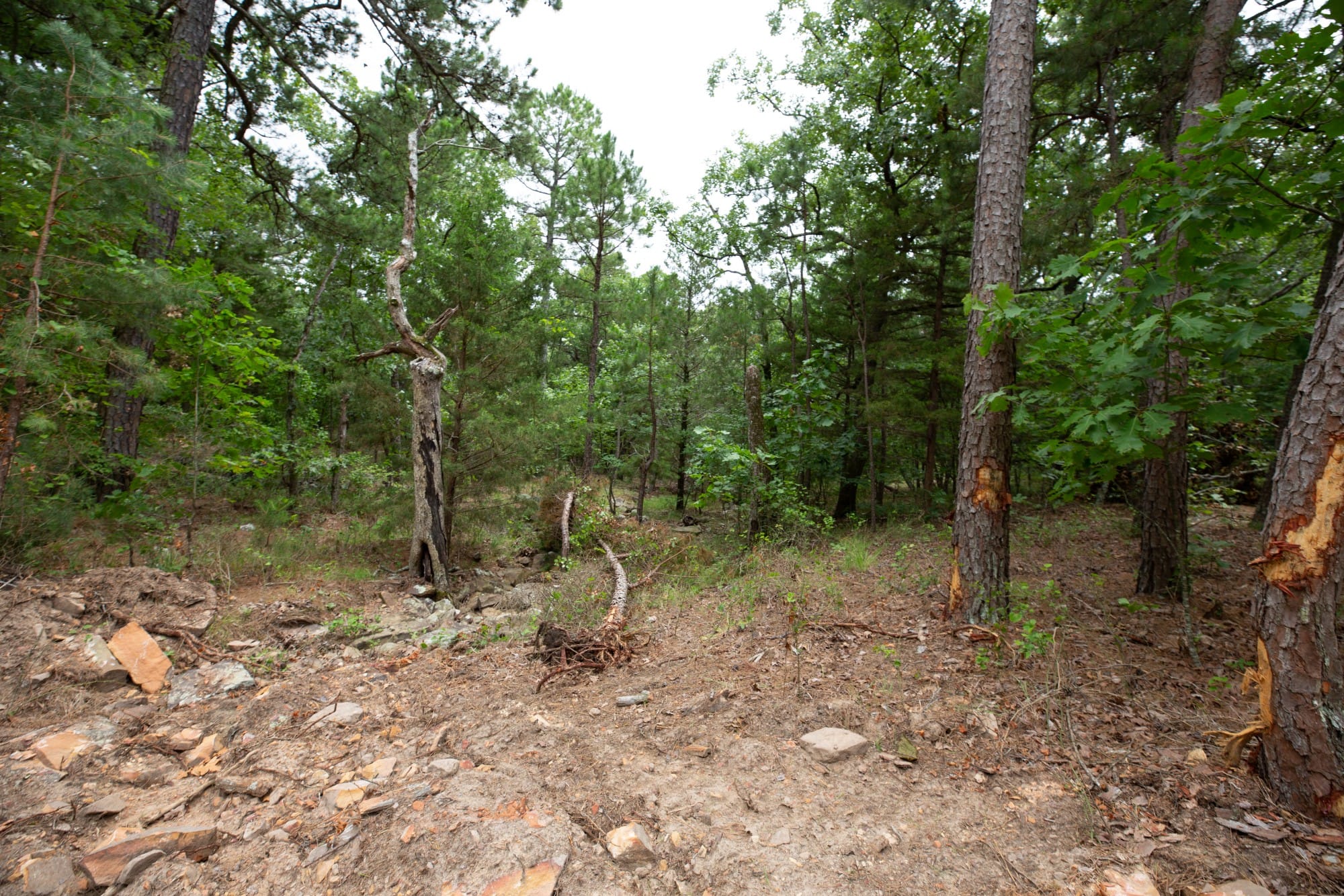 Eagle’s Nest Tract 55 photo 11