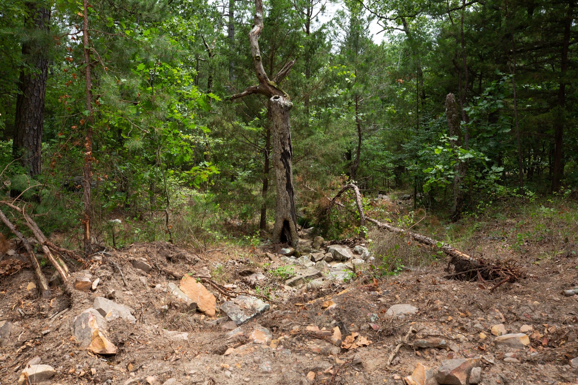 Eagle’s Nest Tract 55 photo 12