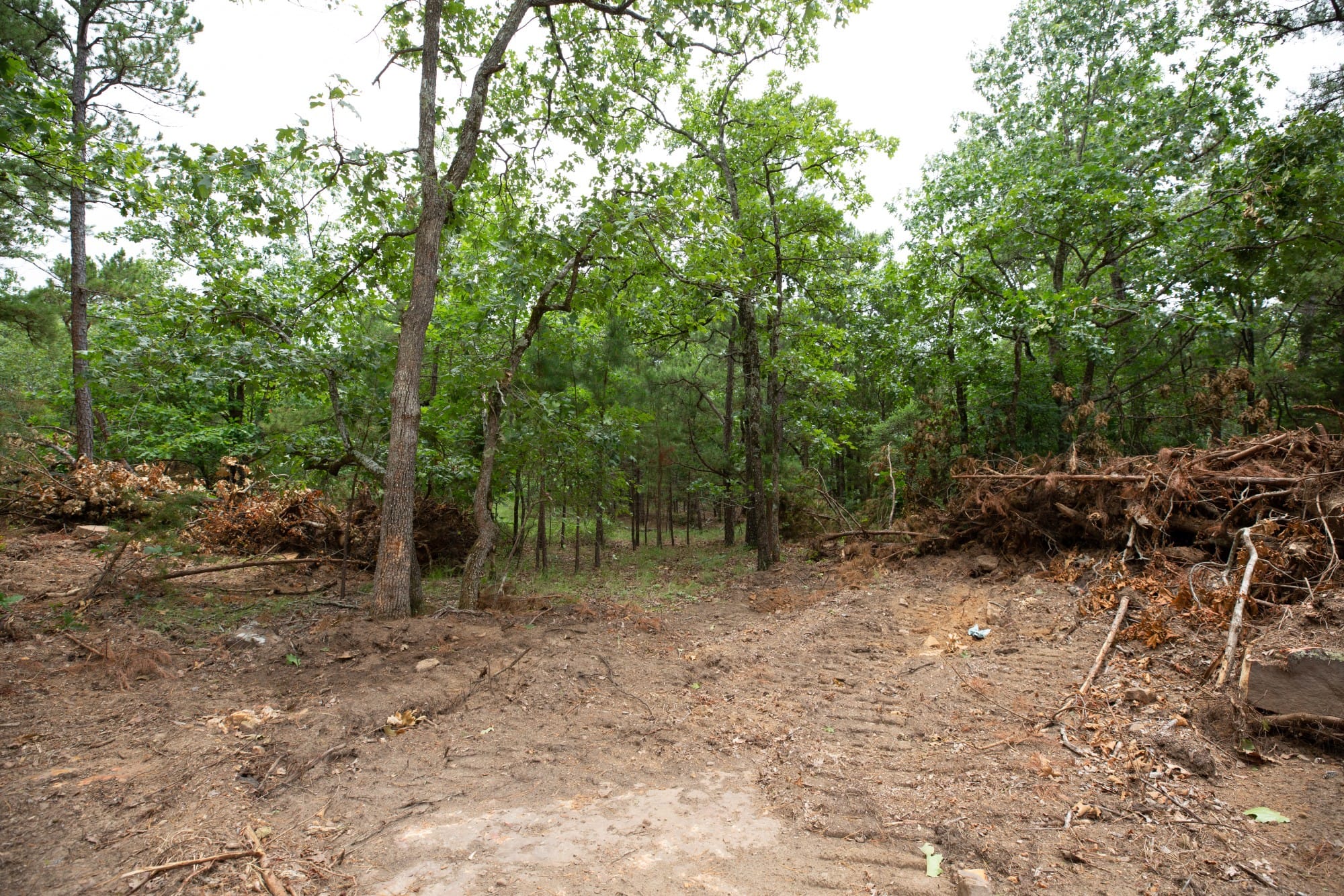 Eagle’s Nest Tract 55 photo 13
