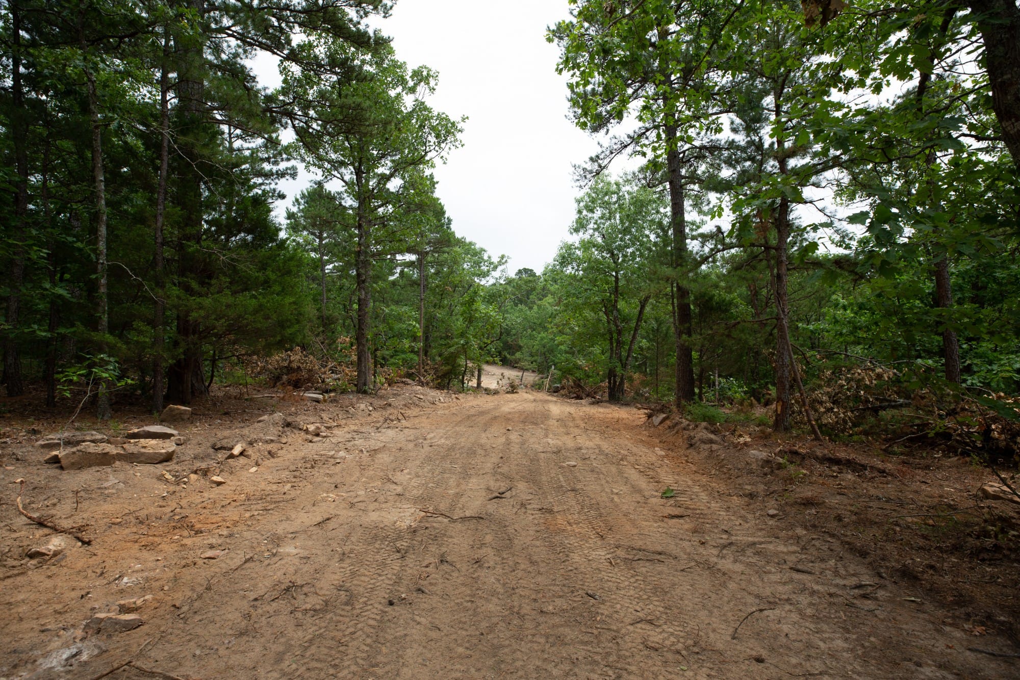 Eagle’s Nest Tract 55 photo 14