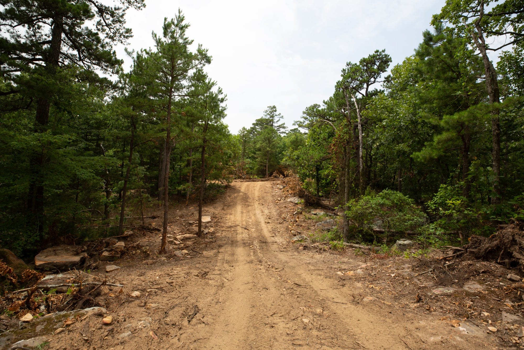 Eagle’s Nest Tract 55 photo 15