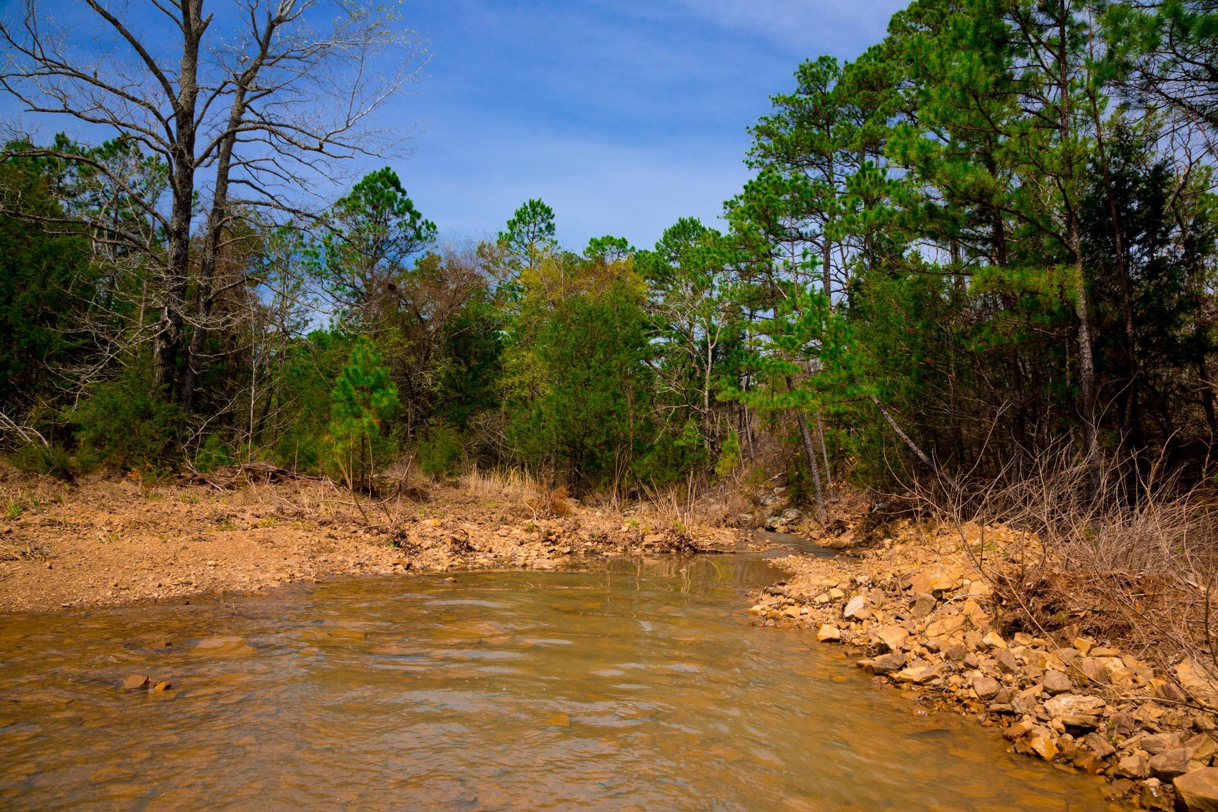 Stone Creek Phase II Tract 239 photo 4
