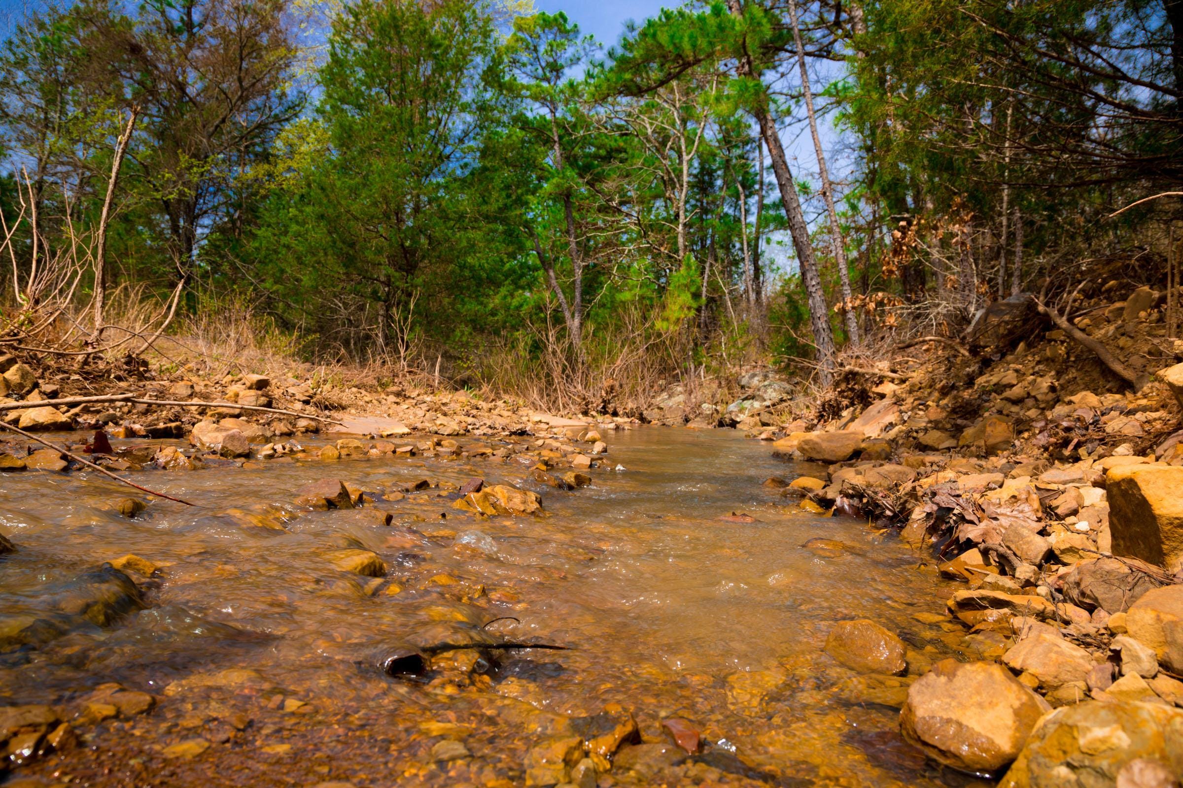 Stone Creek Phase II Tract 239 photo 6