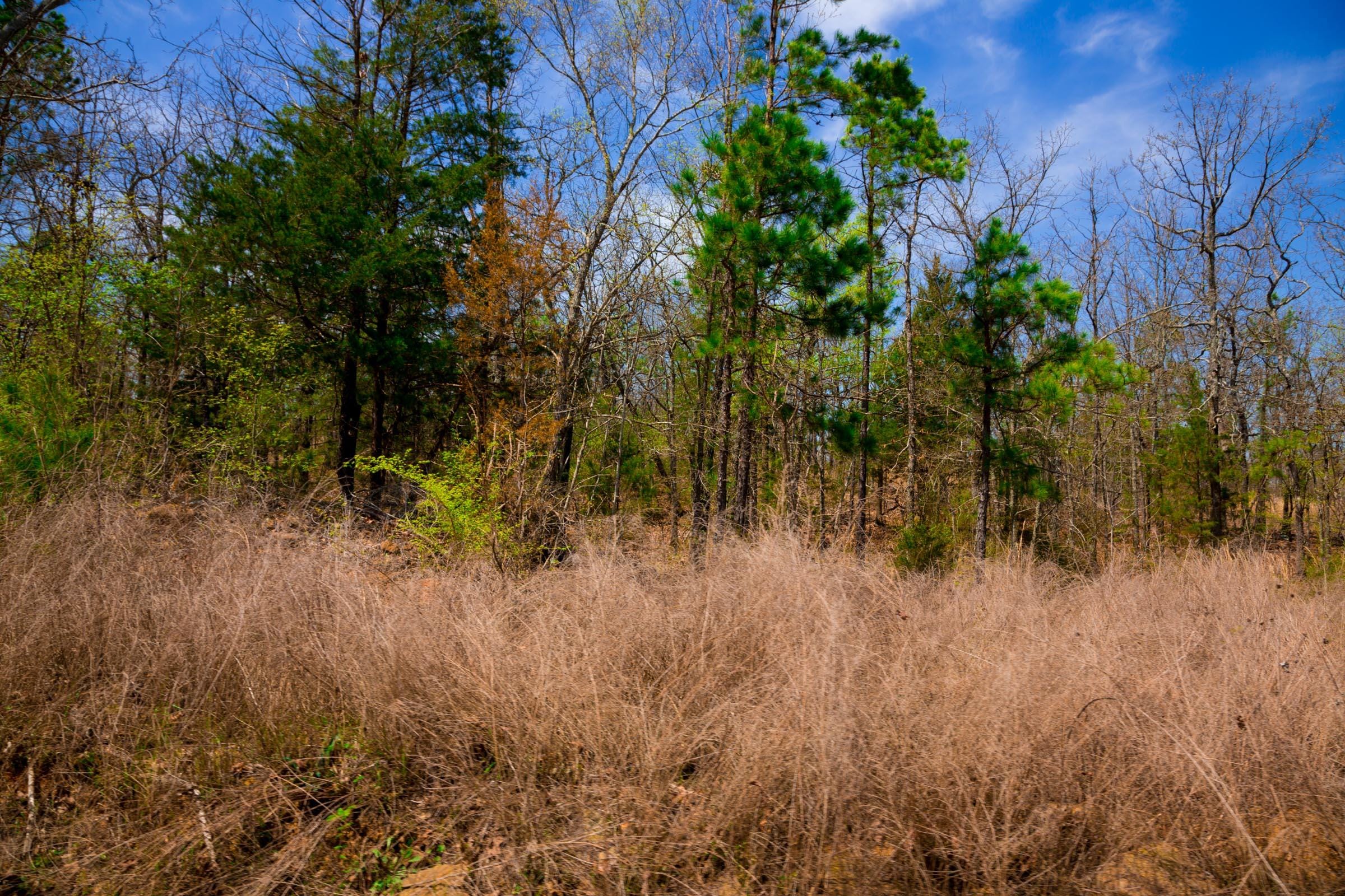 Stone Creek Phase II Tract 239 photo 10