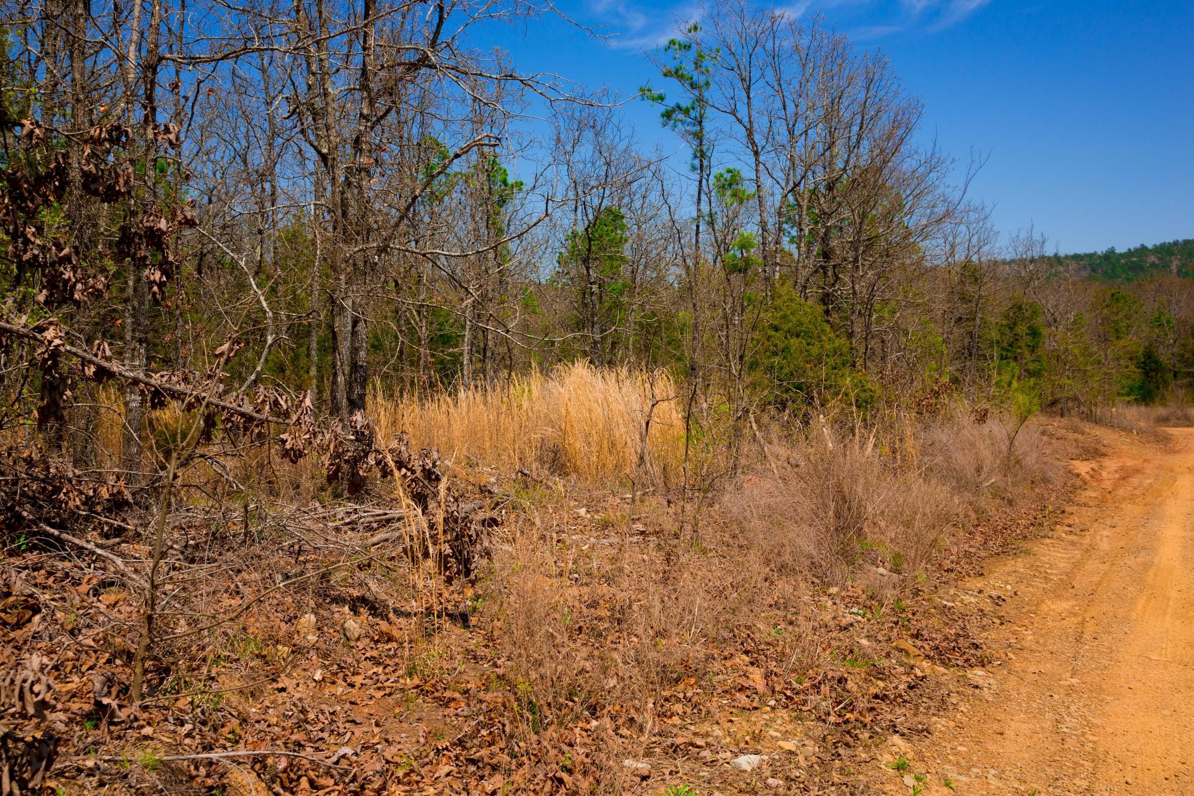Stone Creek Phase II Tract 239 photo 11