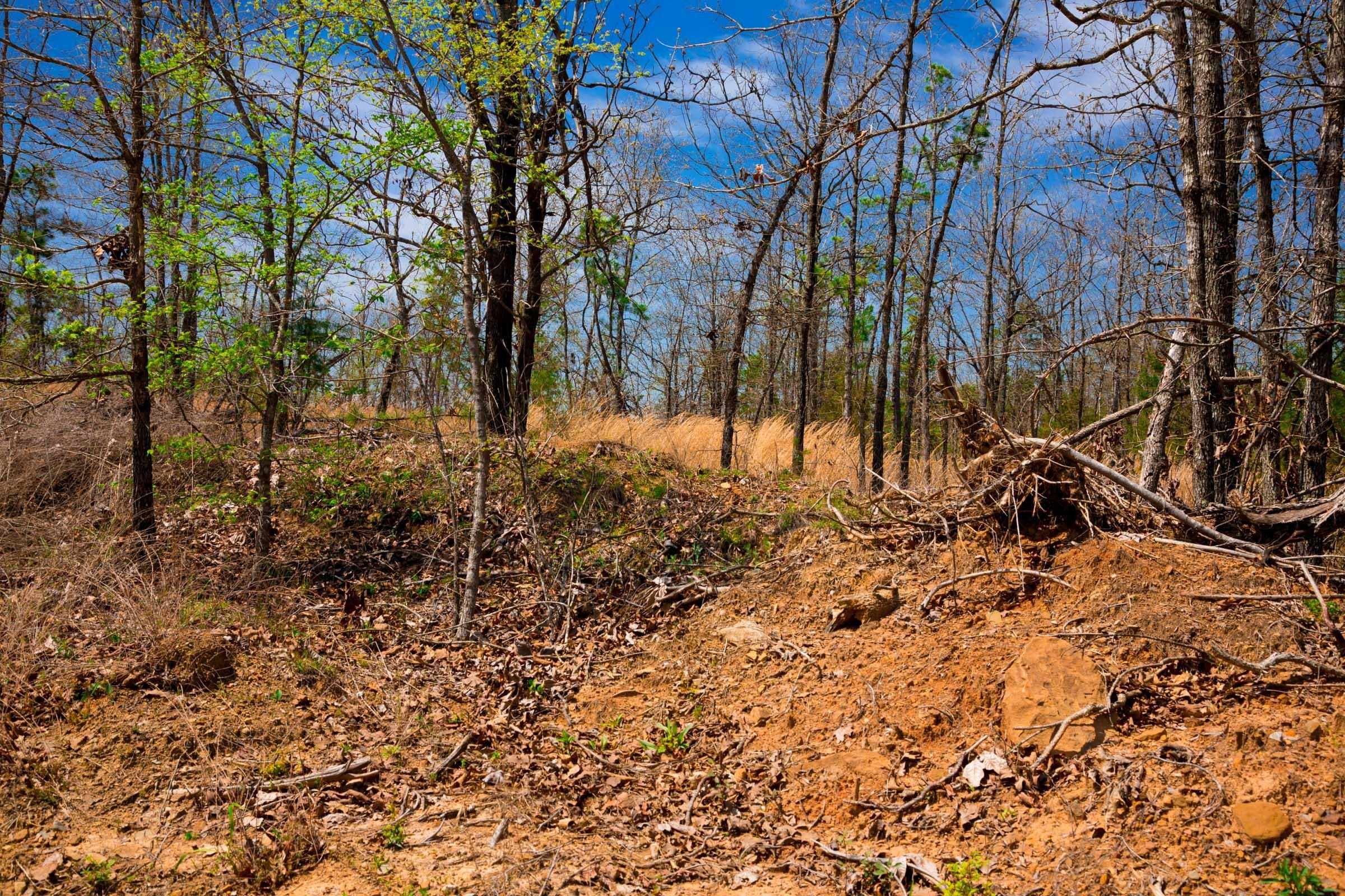 Stone Creek Phase II Tract 239 photo 12