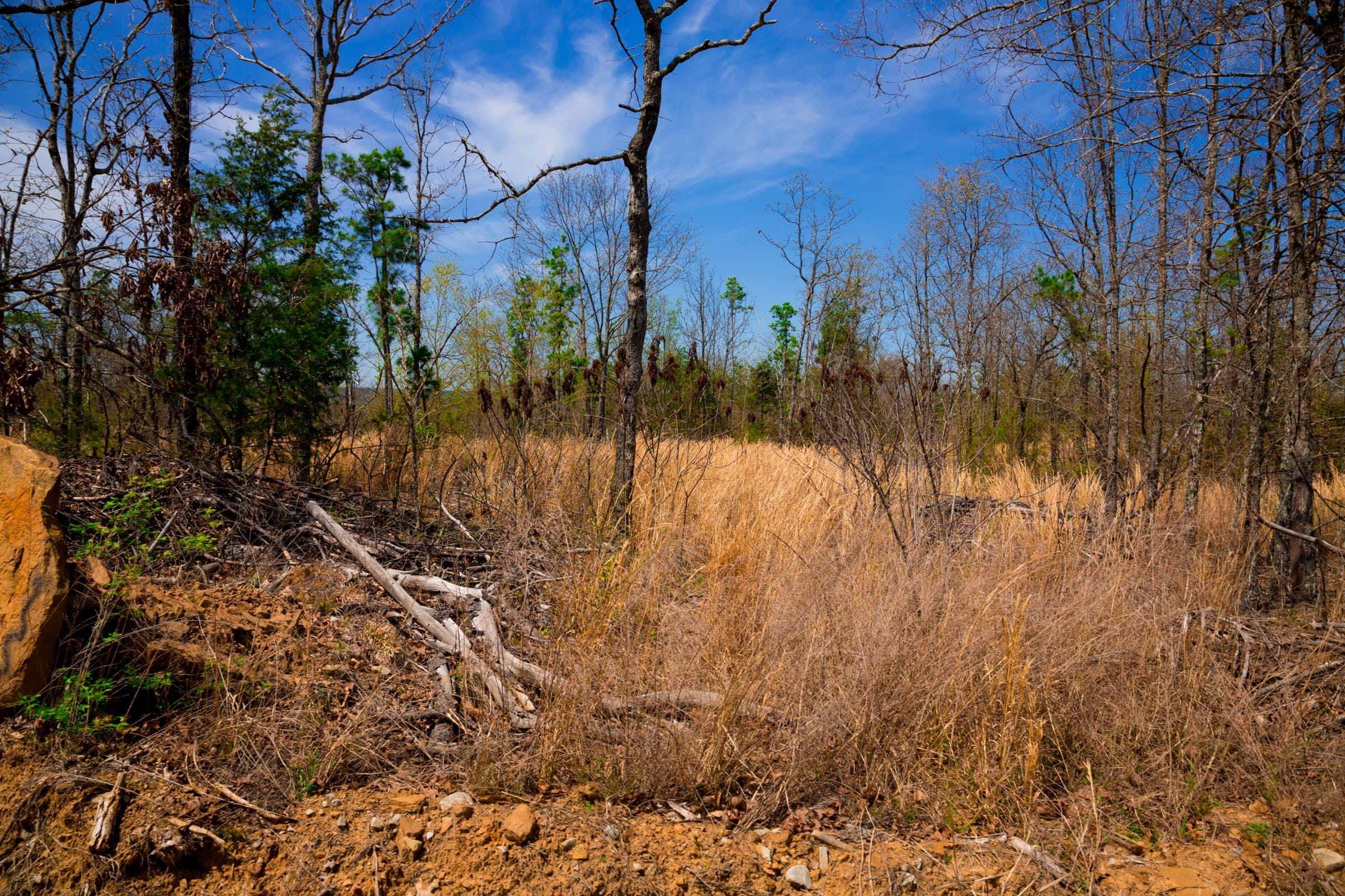 Stone Creek Phase II Tract 239 photo 13
