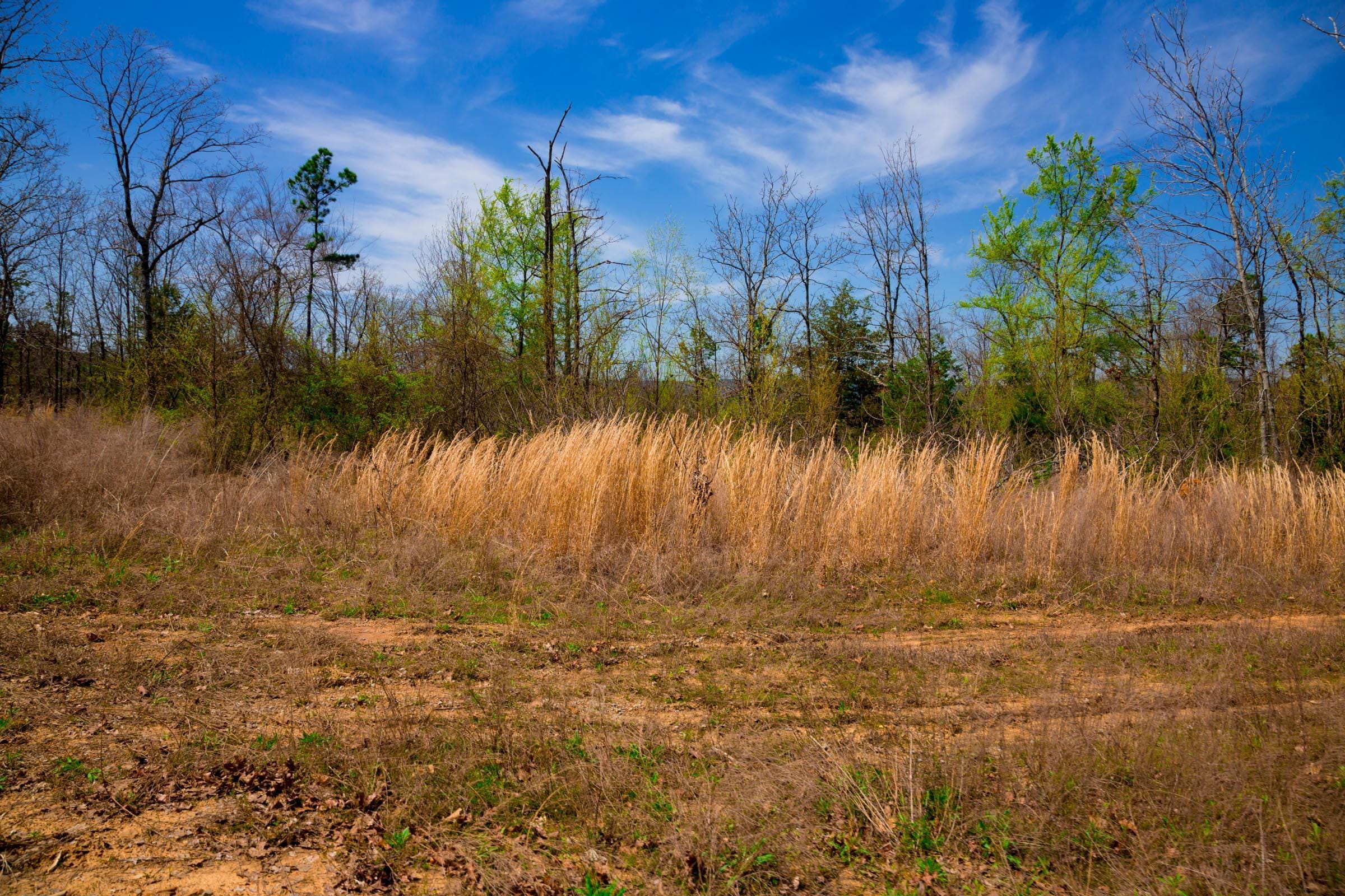 Stone Creek Phase II Tract 239 photo 14