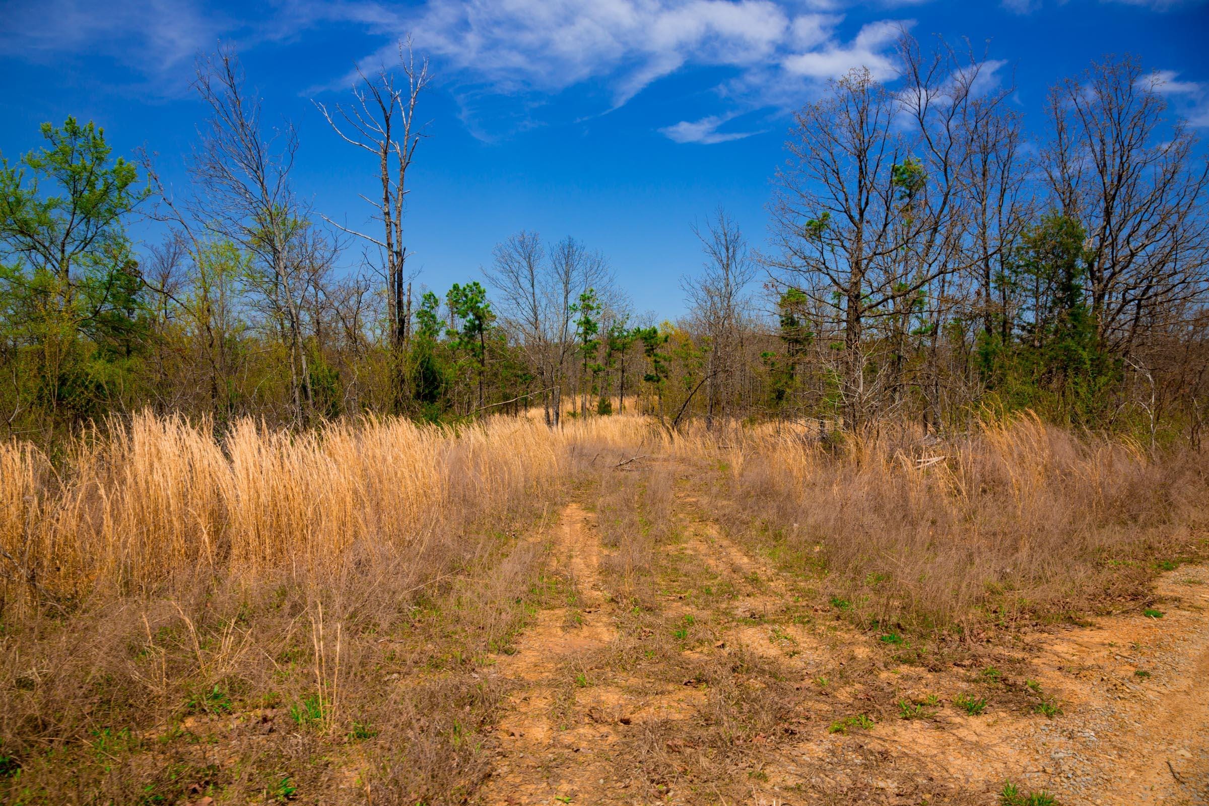 Stone Creek Phase II Tract 239 photo 15