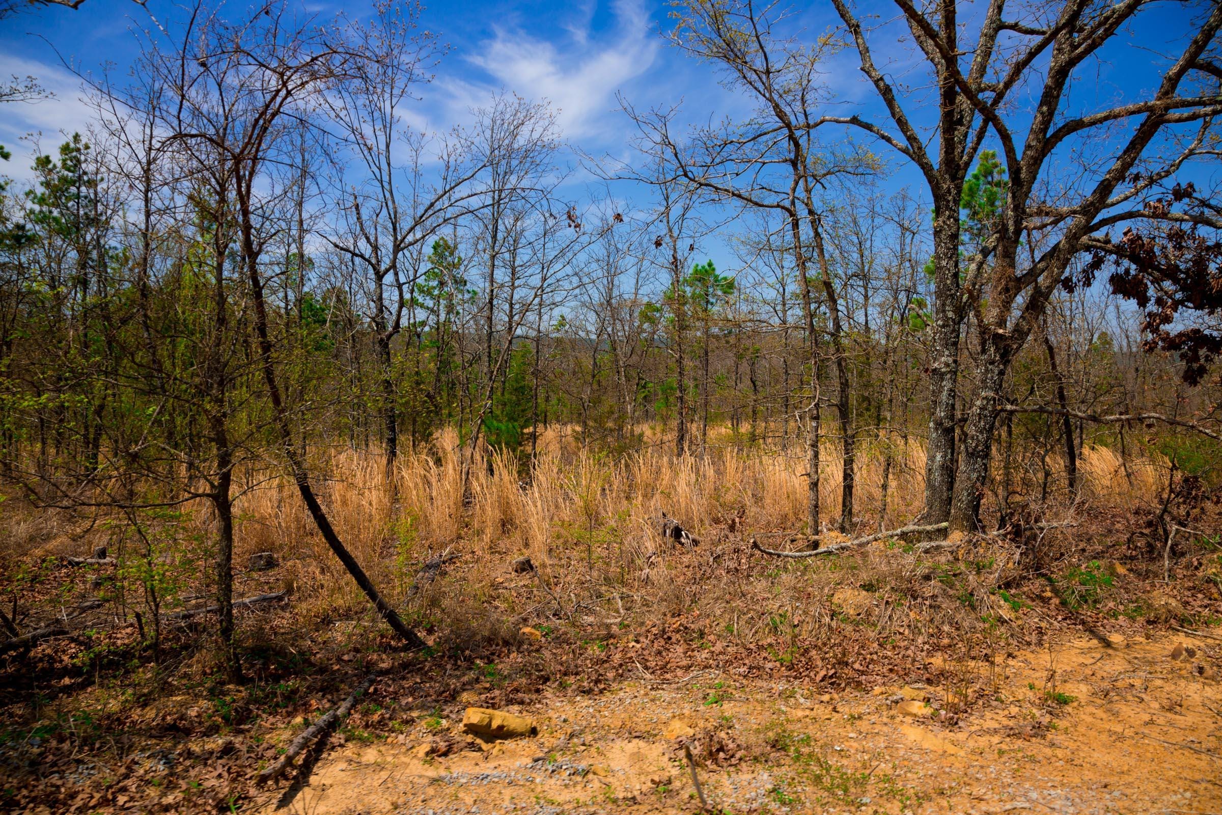 Stone Creek Phase II Tract 239 photo 16