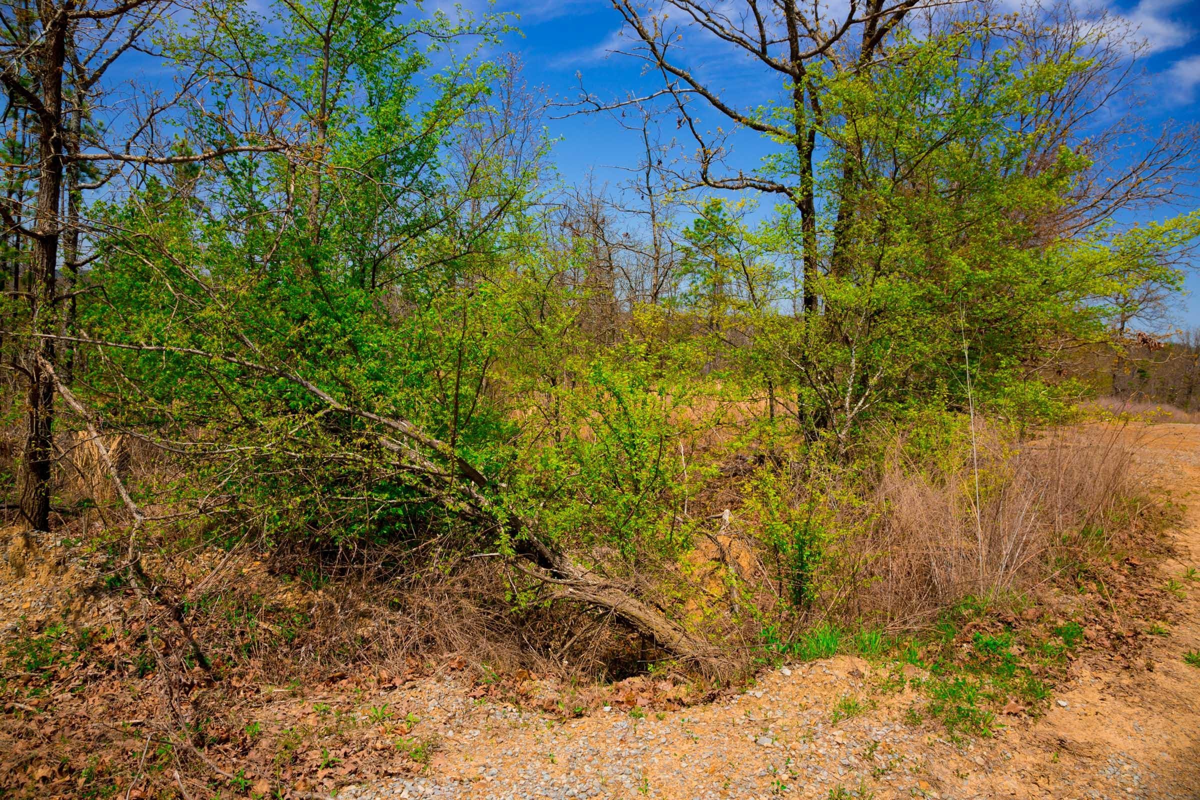 Stone Creek Phase II Tract 239 photo 17