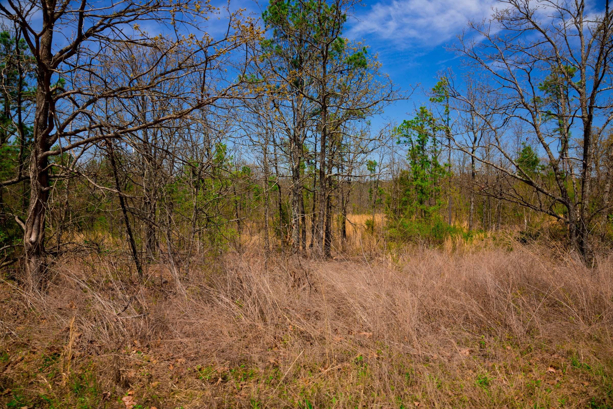 Stone Creek Phase II Tract 239 photo 18
