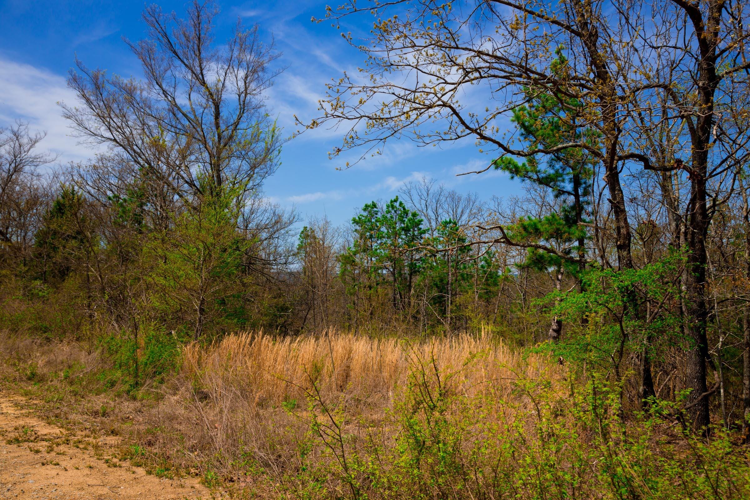 Stone Creek Phase II Tract 239 photo 19