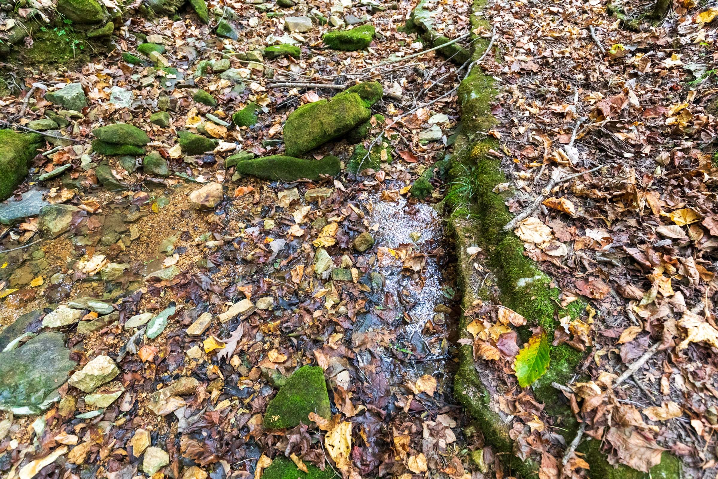 Copper Ridge Tract 3 photo 2